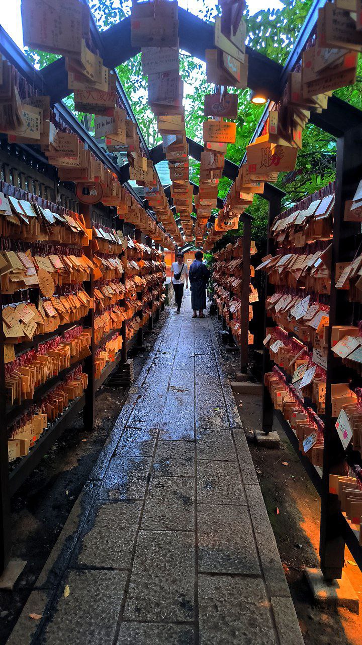 #Tokyo / #Kawagoe, media 3