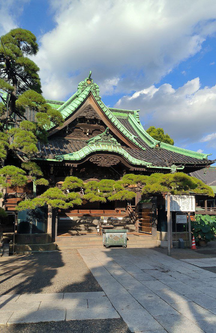 #Tokyo, media 6
