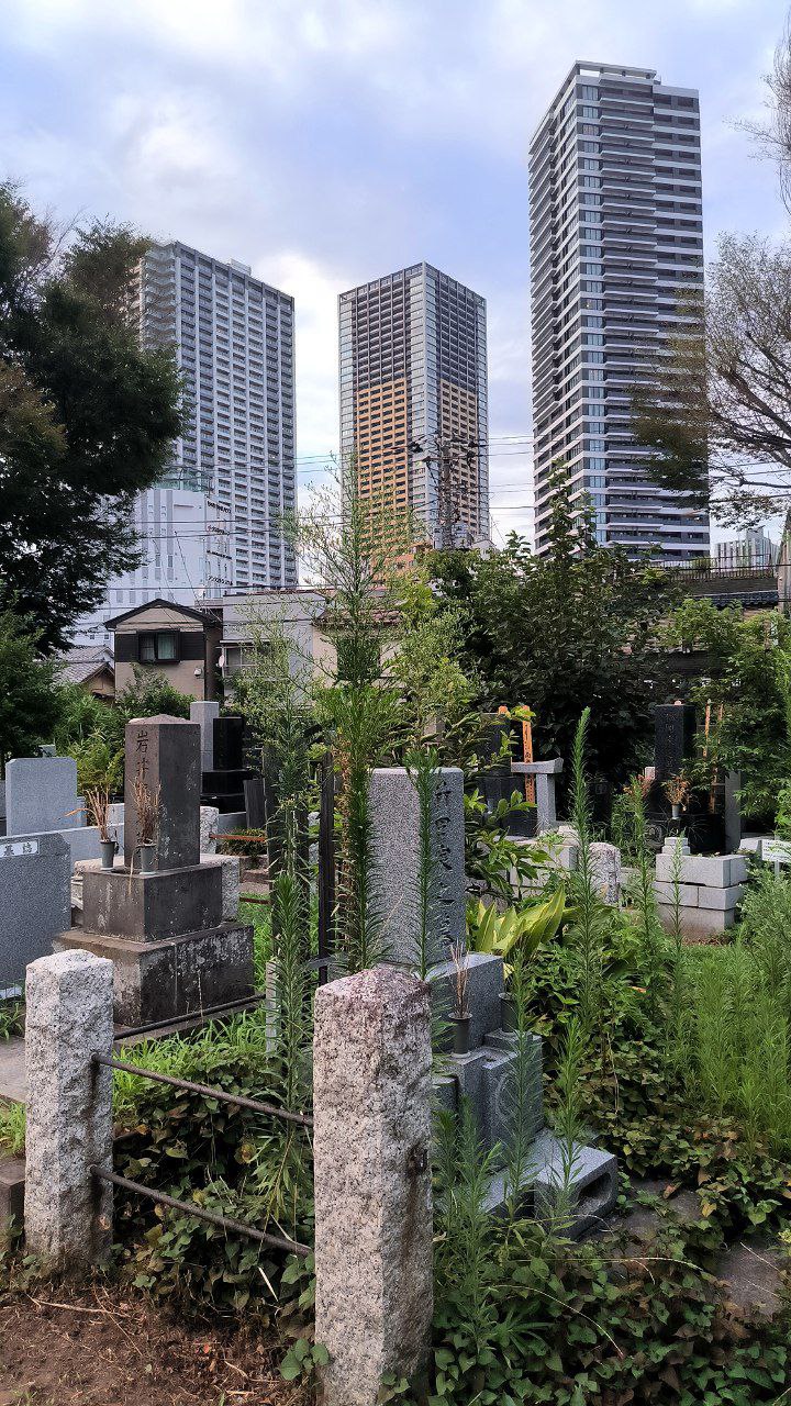 #Tokyo, media 2
