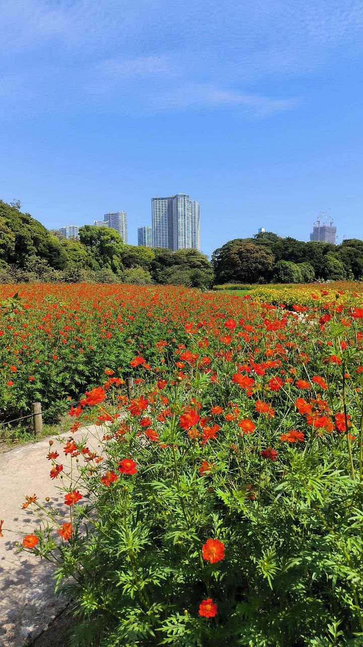 #Tokyo, media 1