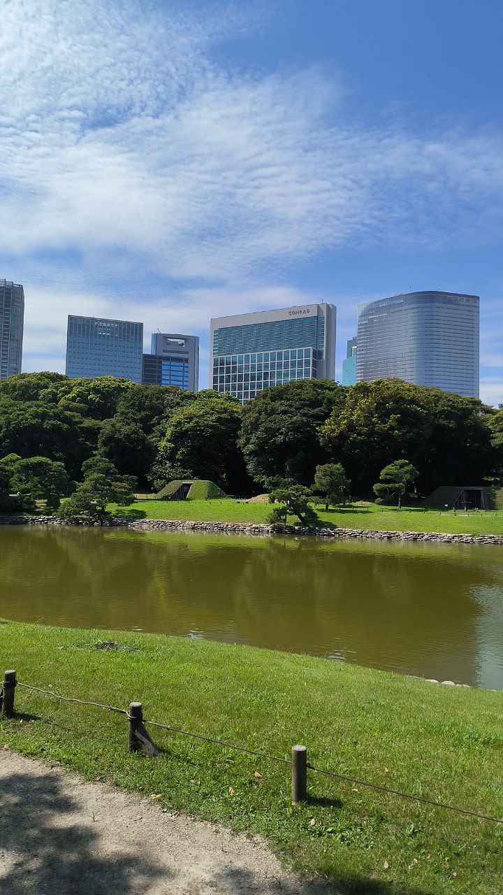 #Tokyo, media 3