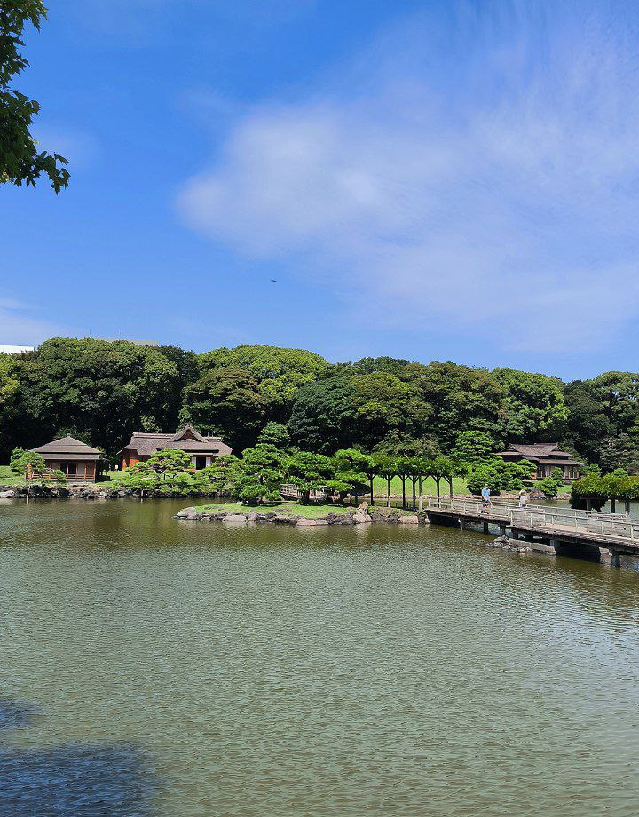 #Tokyo, media 4