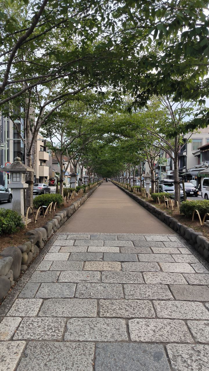 #Tokyo #Kamakura, media 6