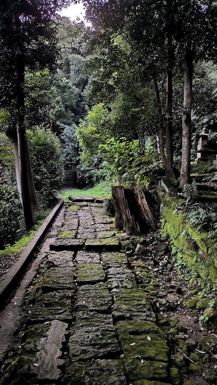 #Tokyo #Kamakura, media 5