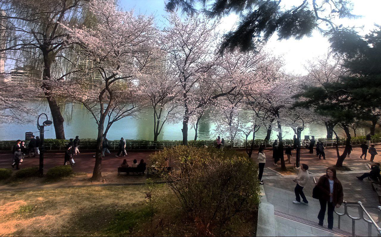 Travel post — March 27, 2023, media 1