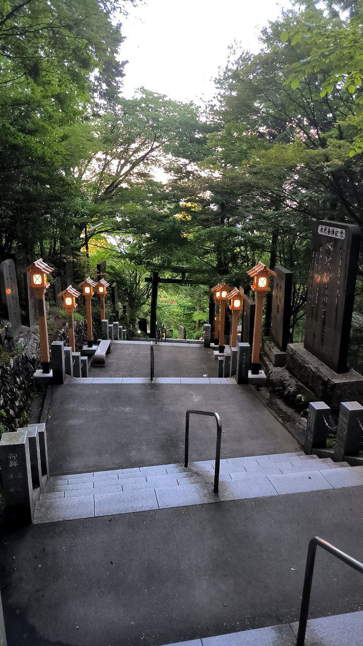 #Tokyo, media 7