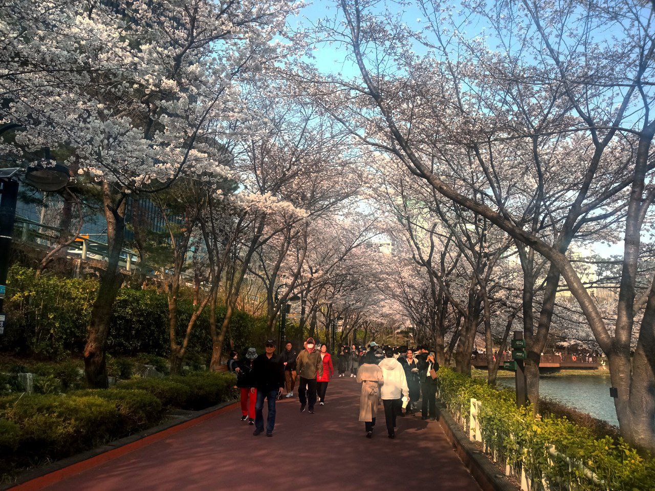 Travel post — March 27, 2023, media 1