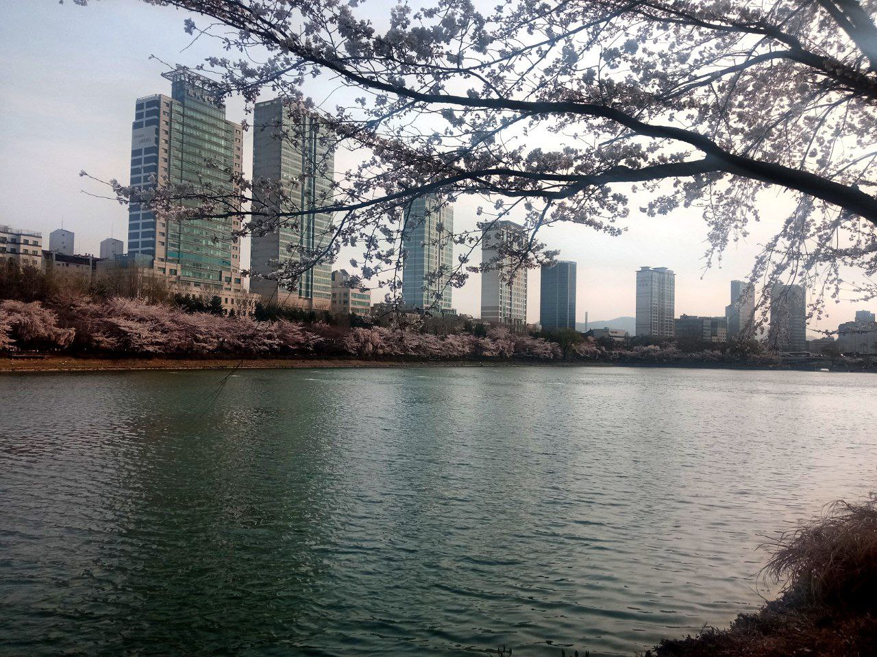 #Seoul, media 1