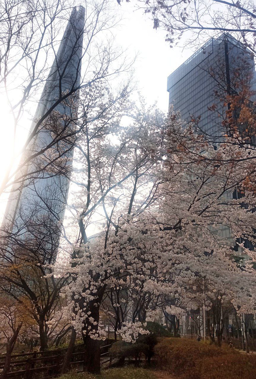 #Seoul, media 1