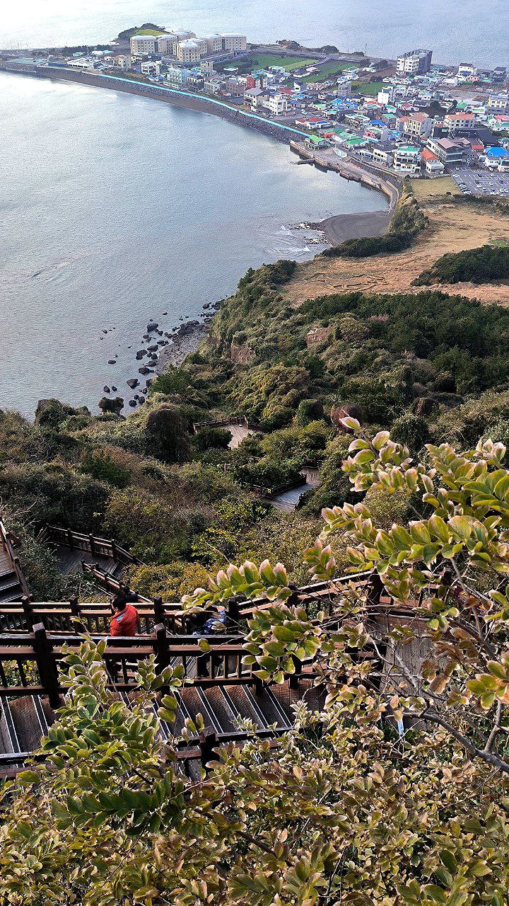 For our first day trip on #Jeju, we chose the extinct Sonsan volcano on the eastern coast., media 3