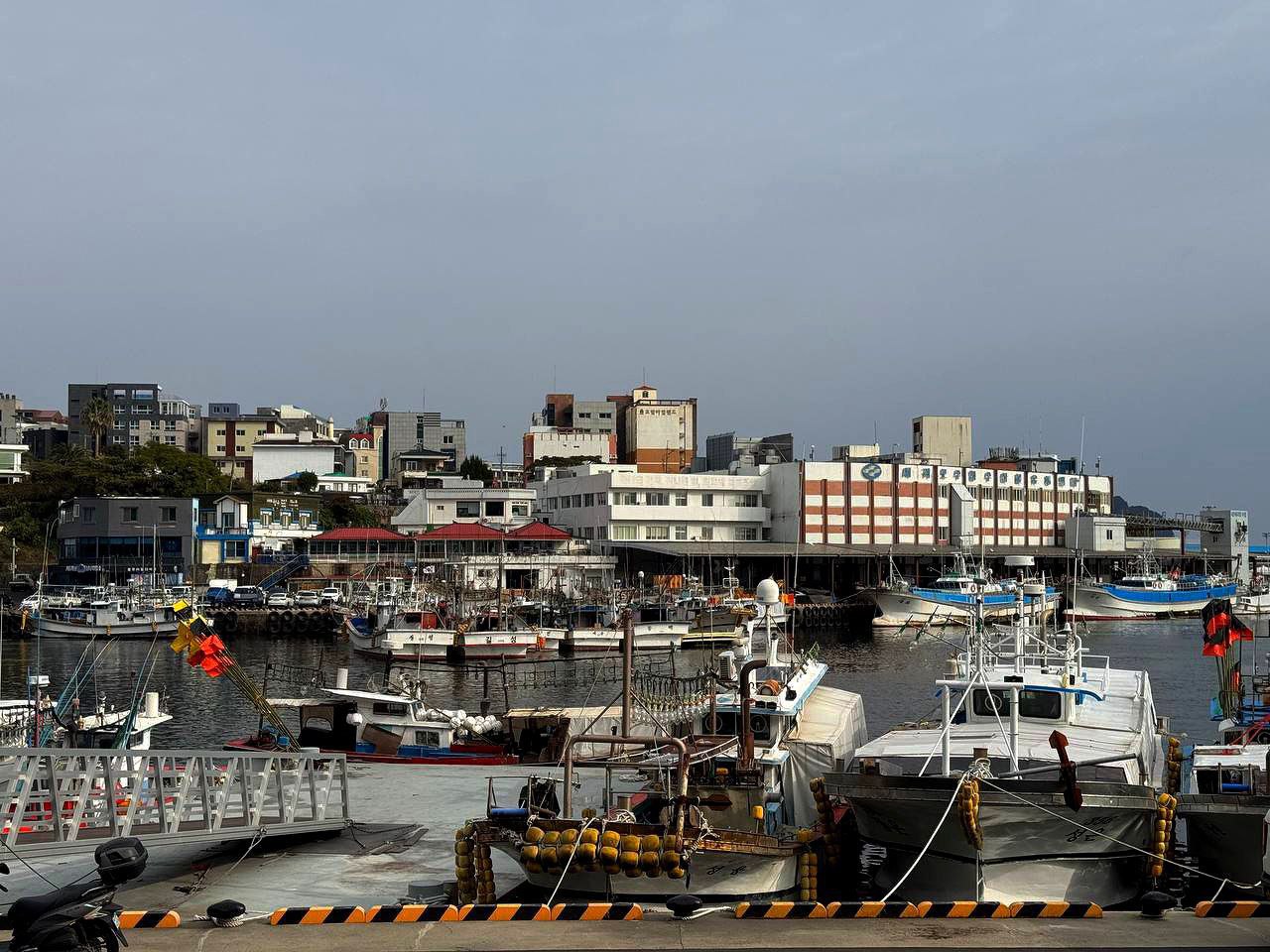 #Jeju, media 4