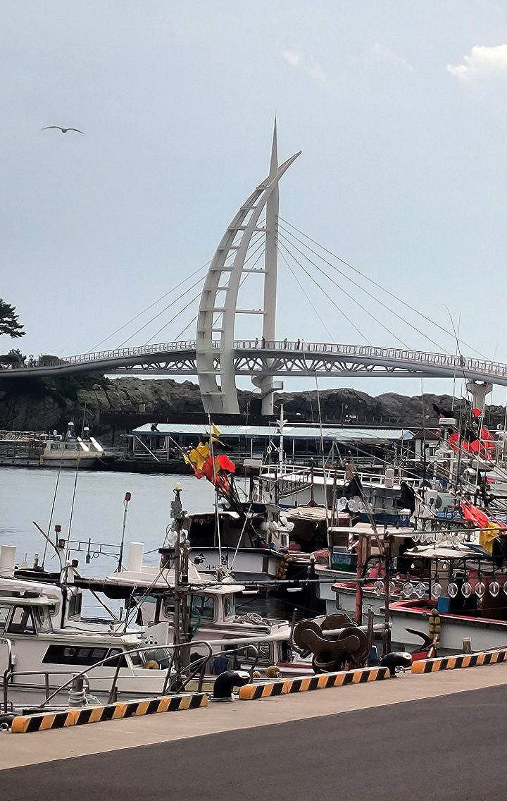 #Jeju, media 5