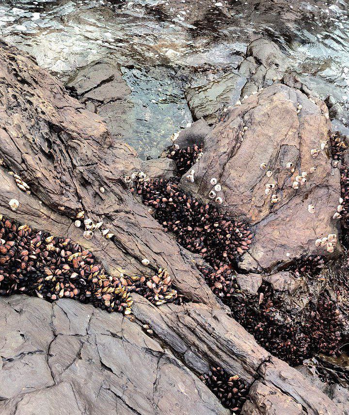 #Jeju, media 7