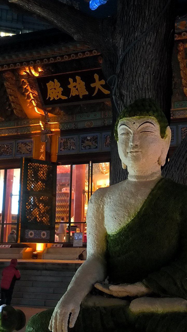 #Seoul is again sneaking some amazing beauty into my feed!, media 2