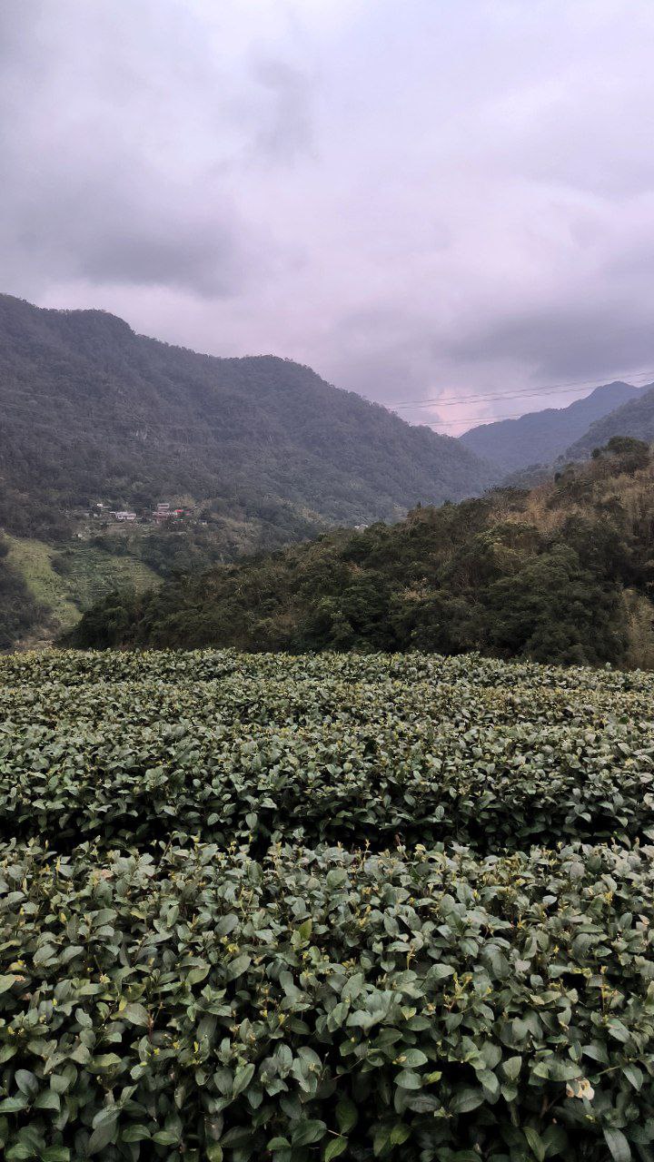 #Taipei, media 5