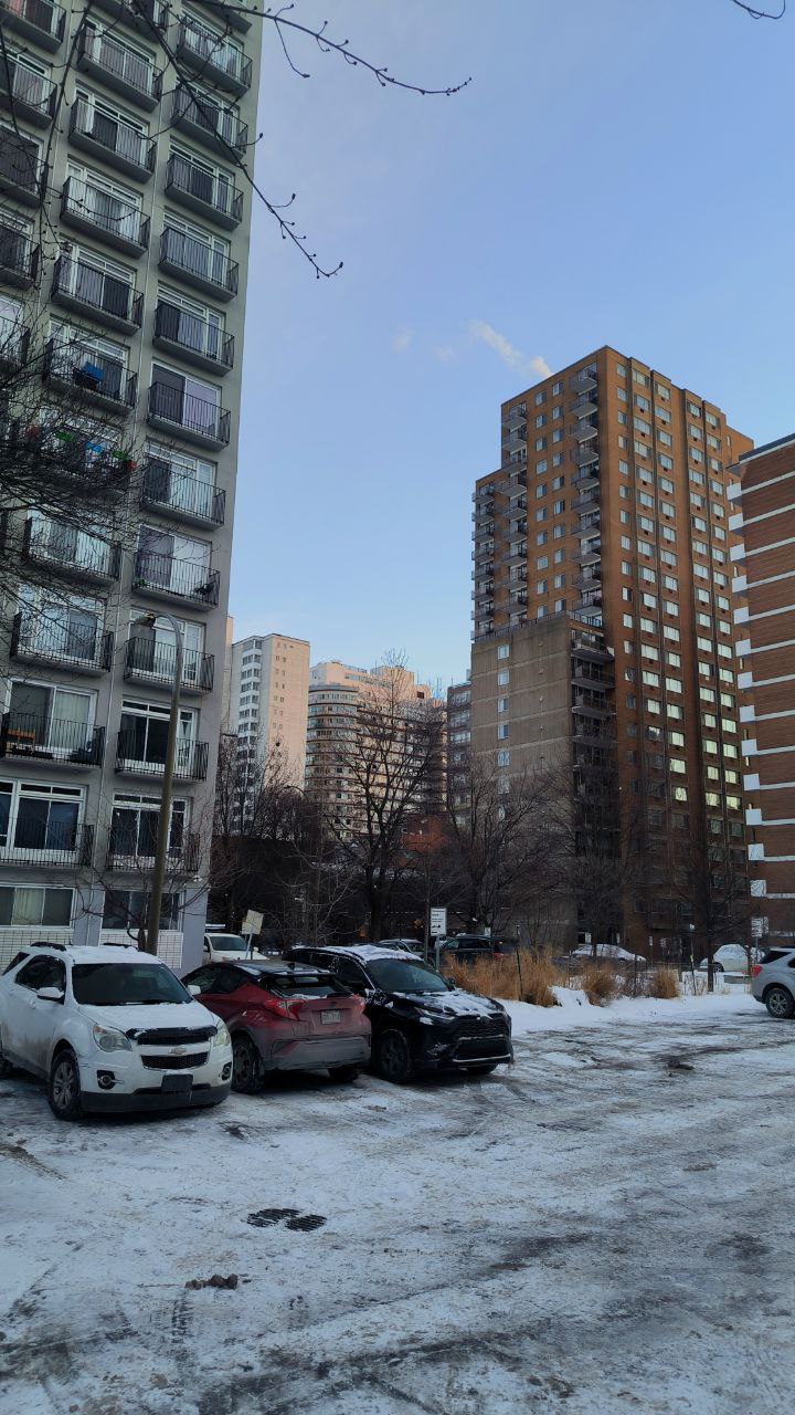 #Montreal, media 6