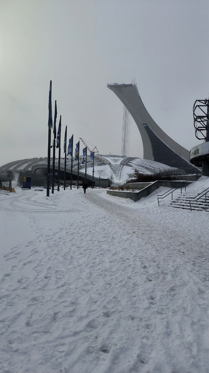 #Montreal, media 1