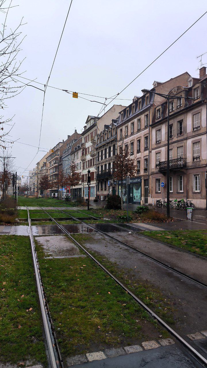 #Strasbourg, media 5