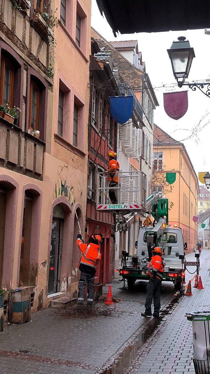#Strasbourg, media 1