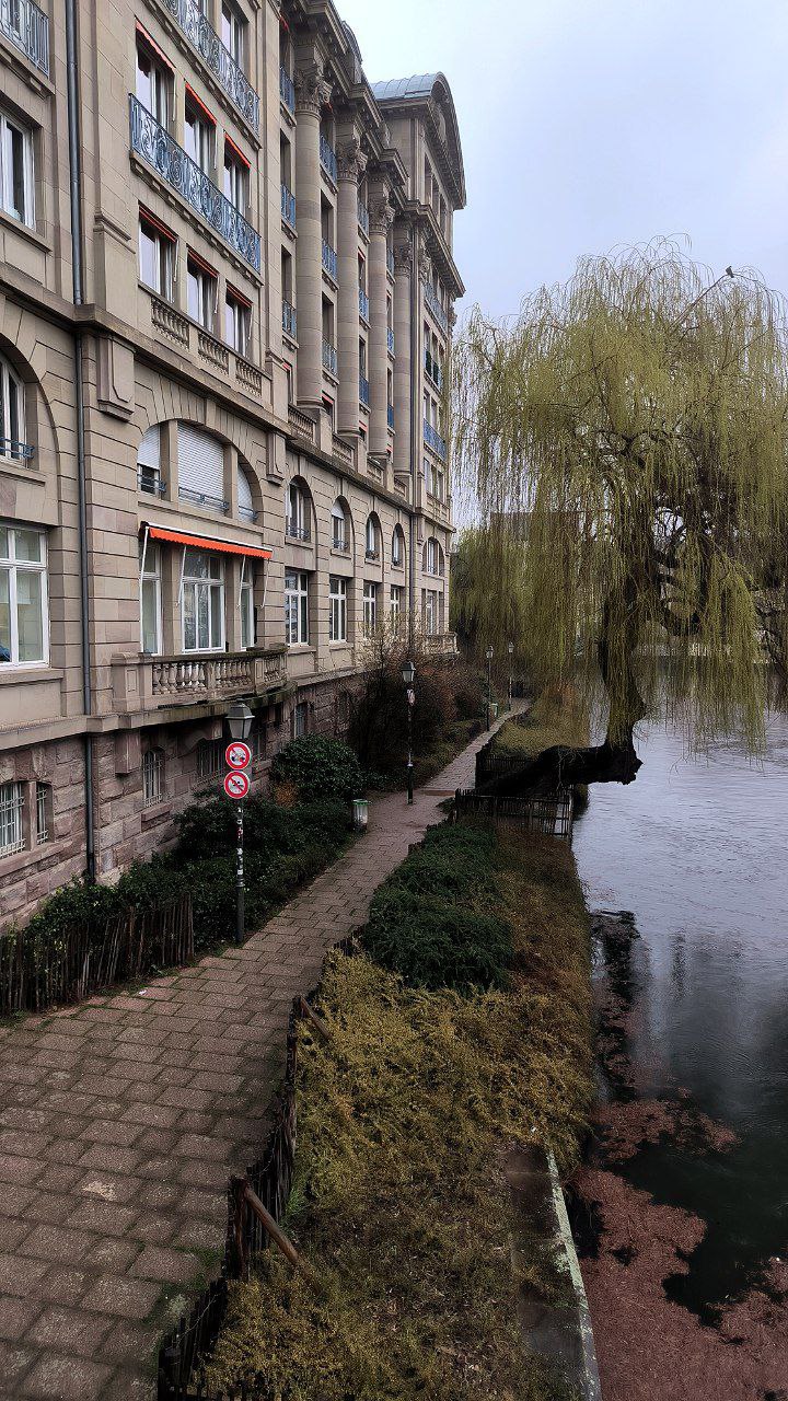 #Strasbourg, media 5
