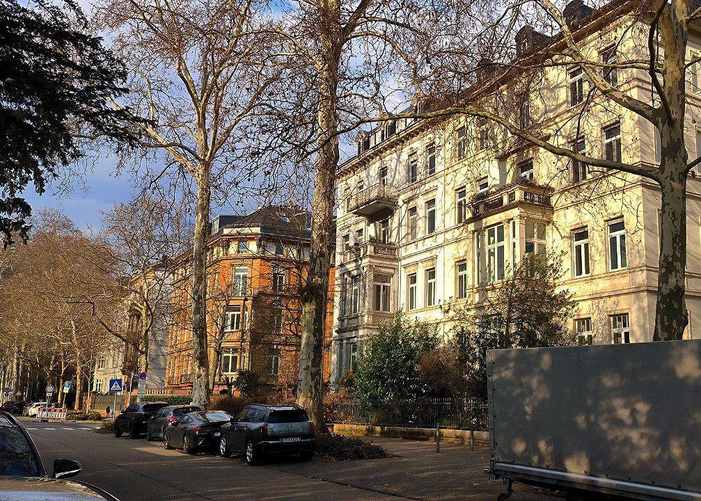#Frankfurt, media 3