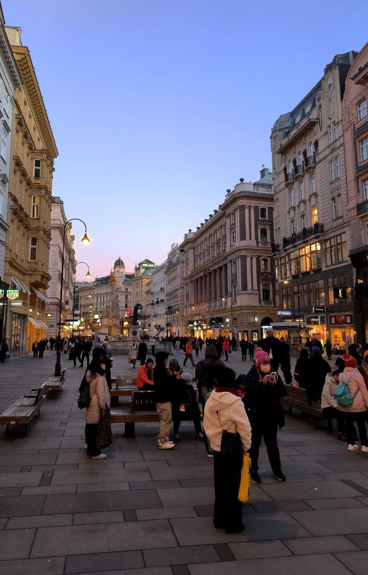 #Vienna, media 3