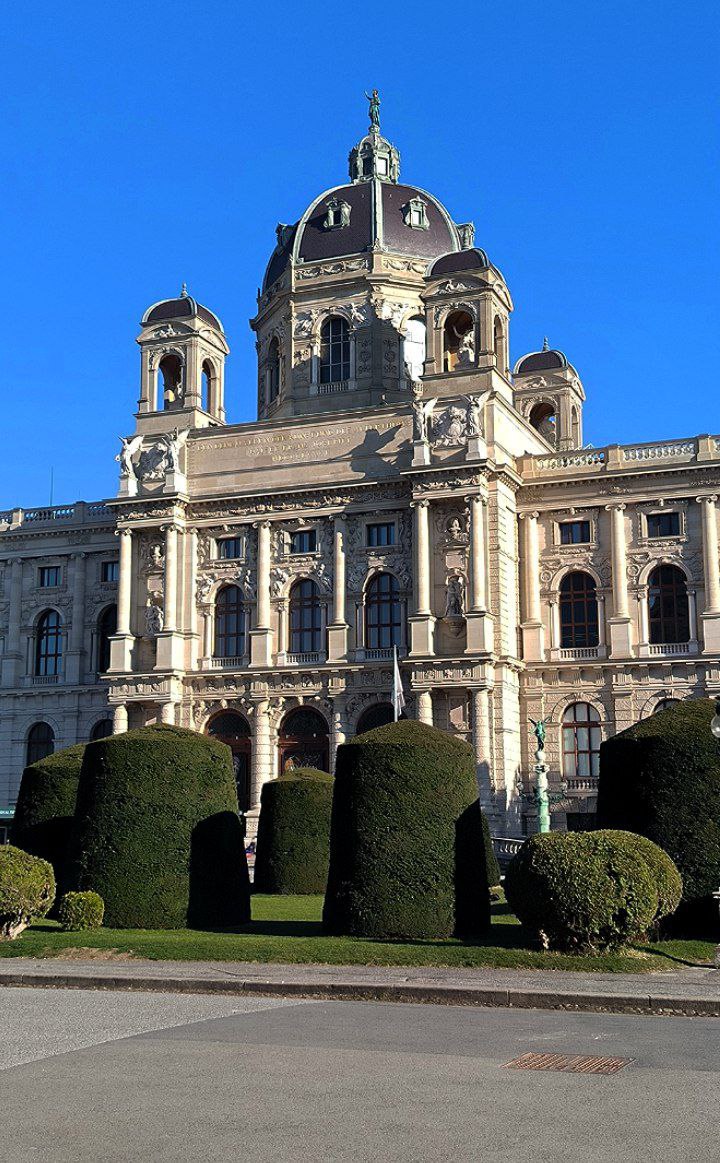 #Vienna, media 1