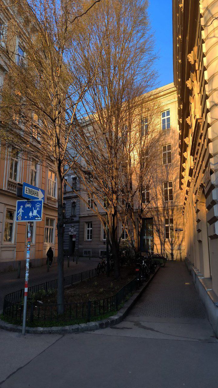 #Vienna, media 1
