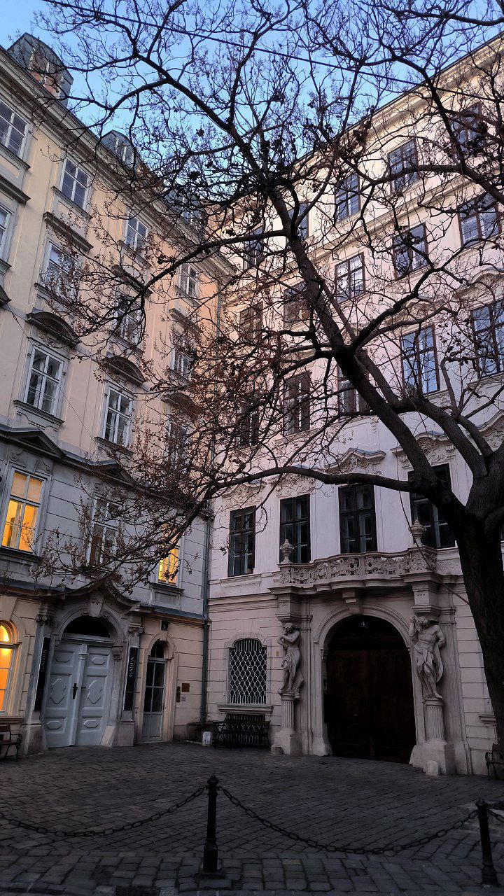 #Vienna, media 3