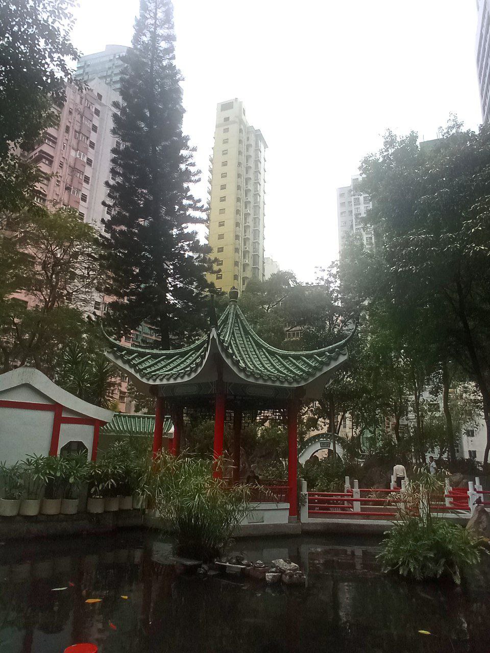 #HongKong, media 10