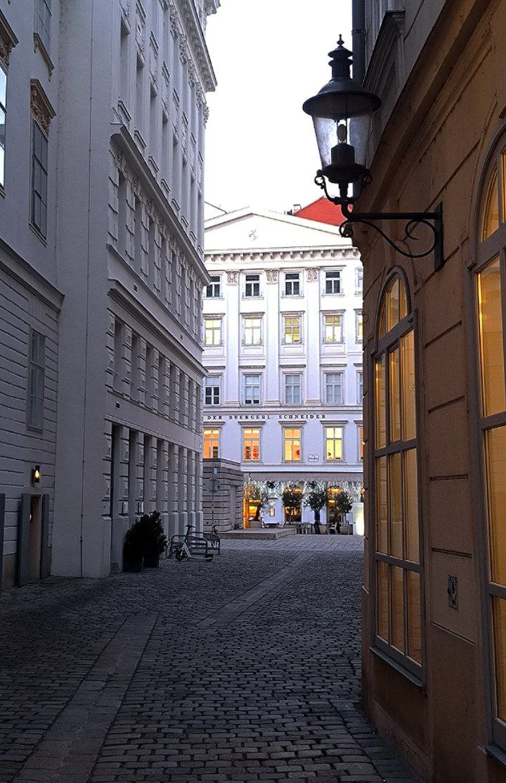 #Vienna, media 5