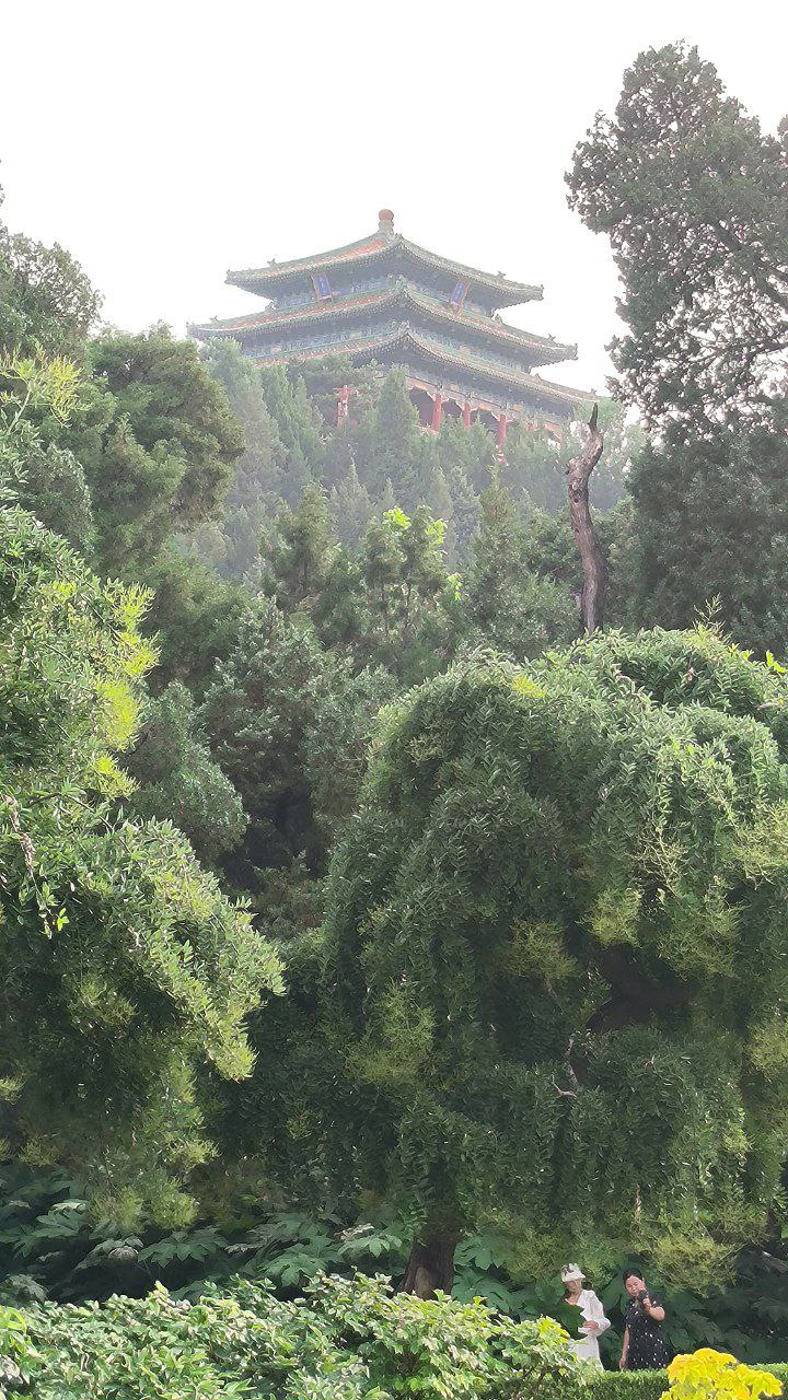 #Beijing, media 6