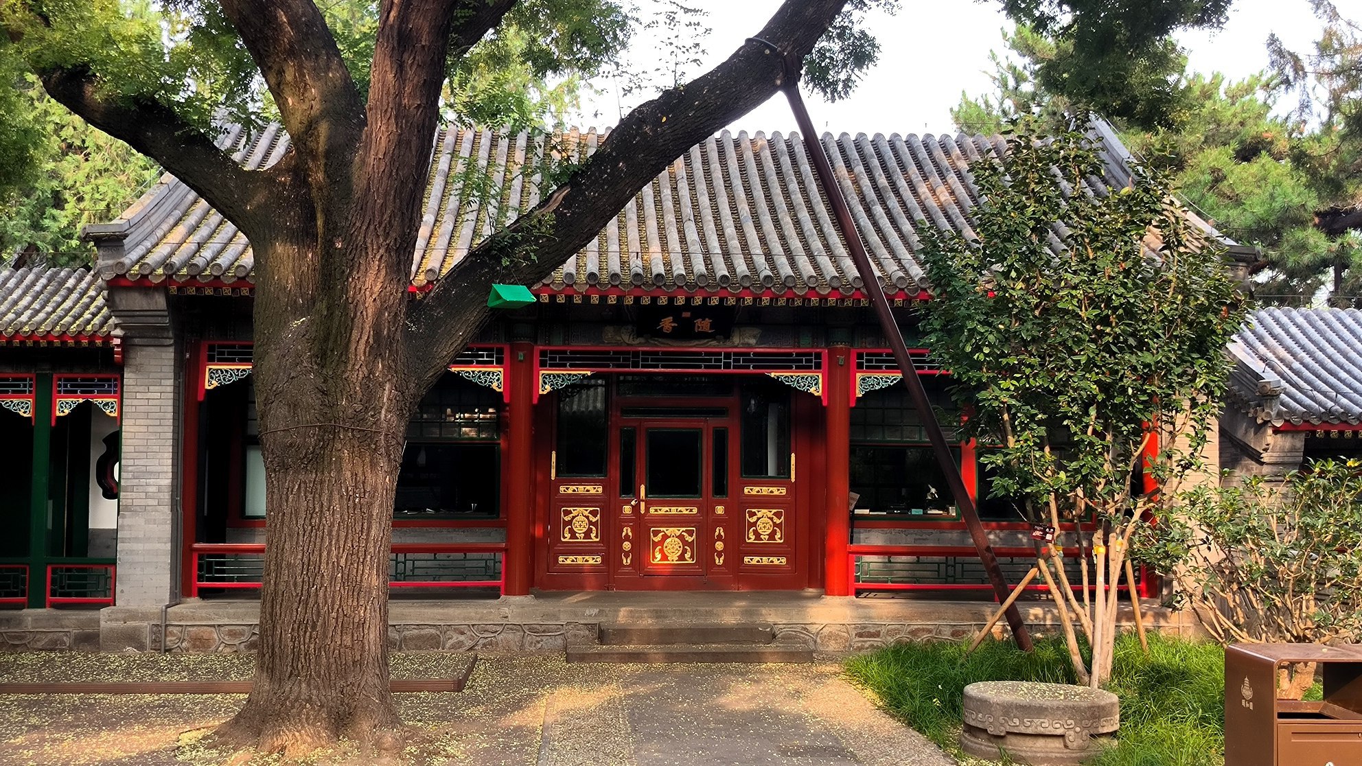 #Beijing, media 3