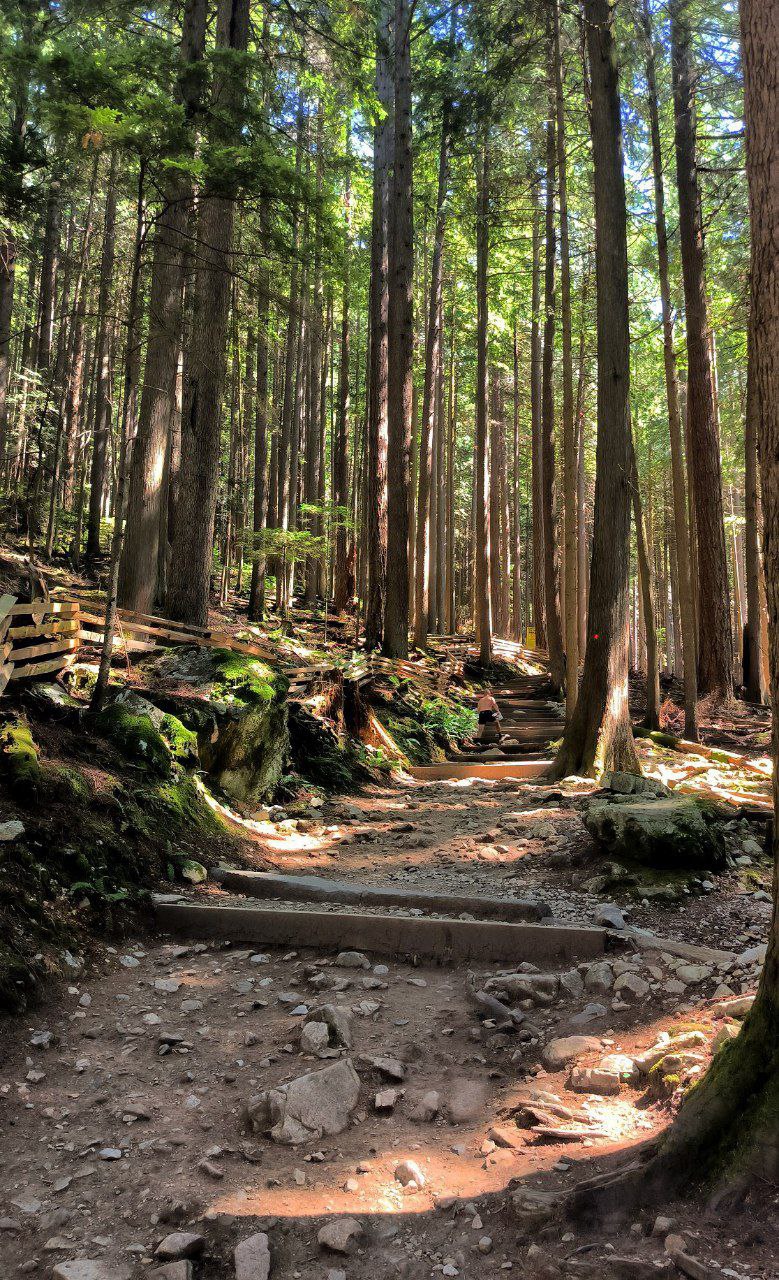 Of course, people go to #Vancouver for the nature., media 2