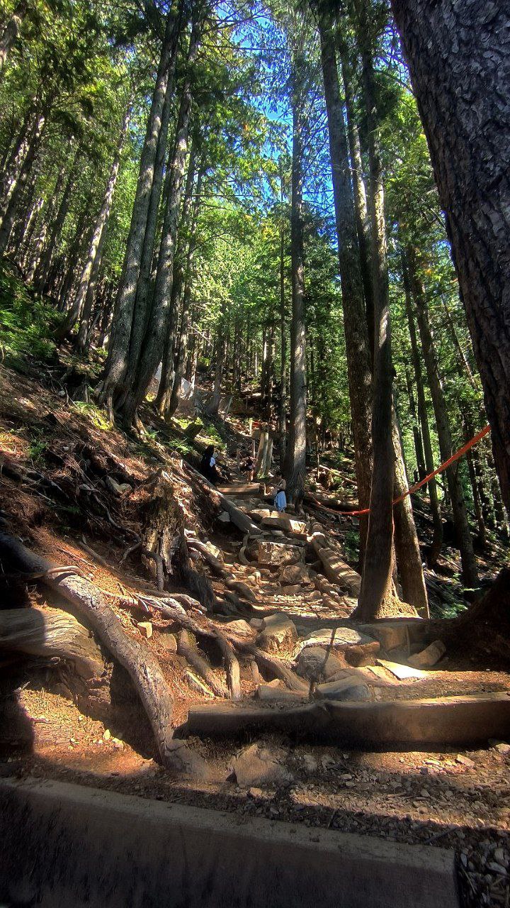 Of course, people go to #Vancouver for the nature., media 3