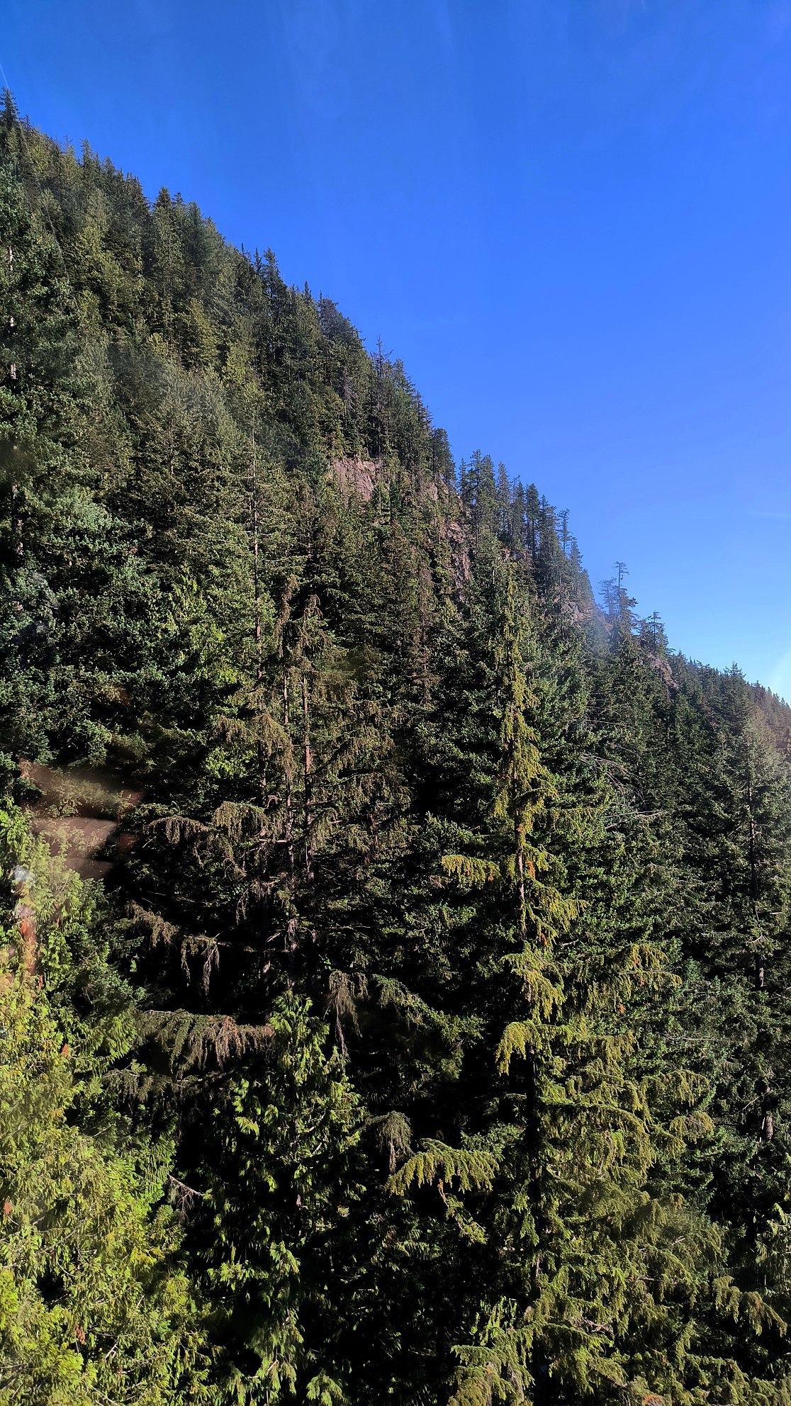 Of course, people go to #Vancouver for the nature., media 4