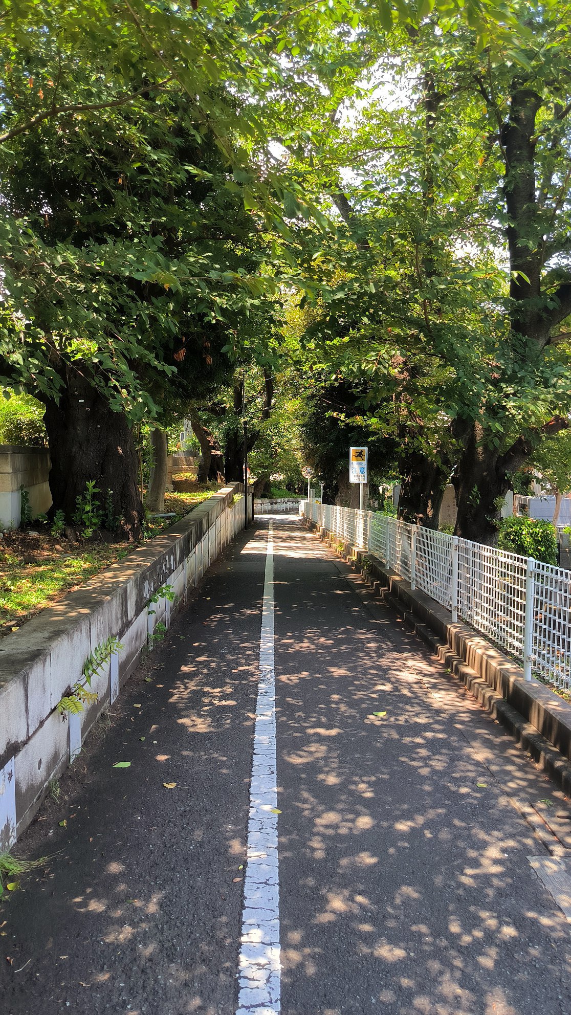 My last day in #Tokyo, media 1