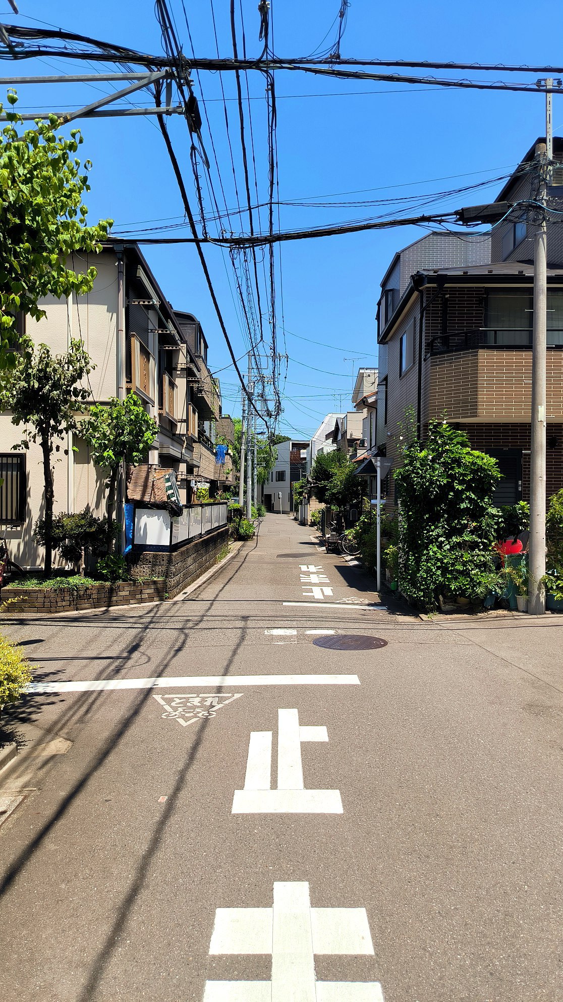 My last day in #Tokyo, media 3