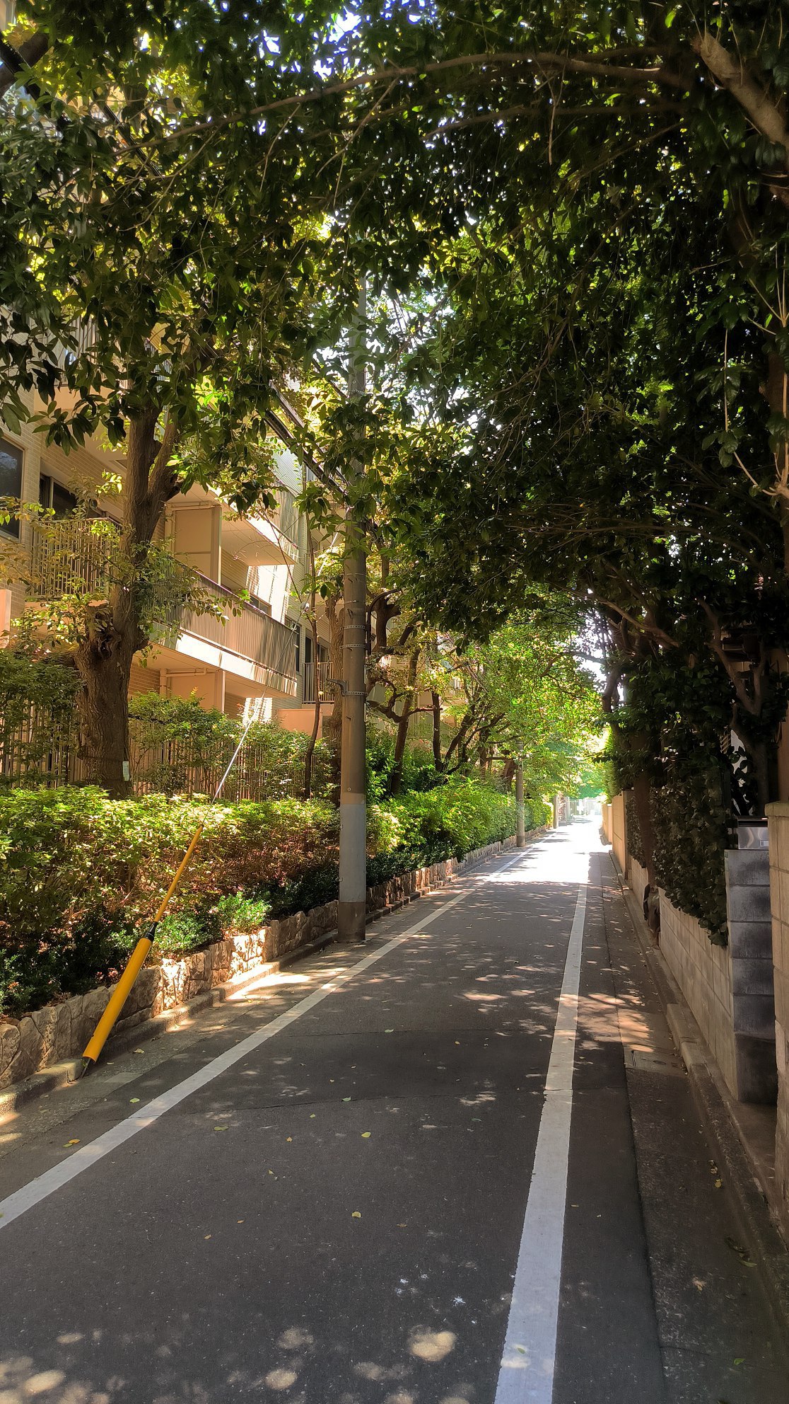 #Tokyo, media 2