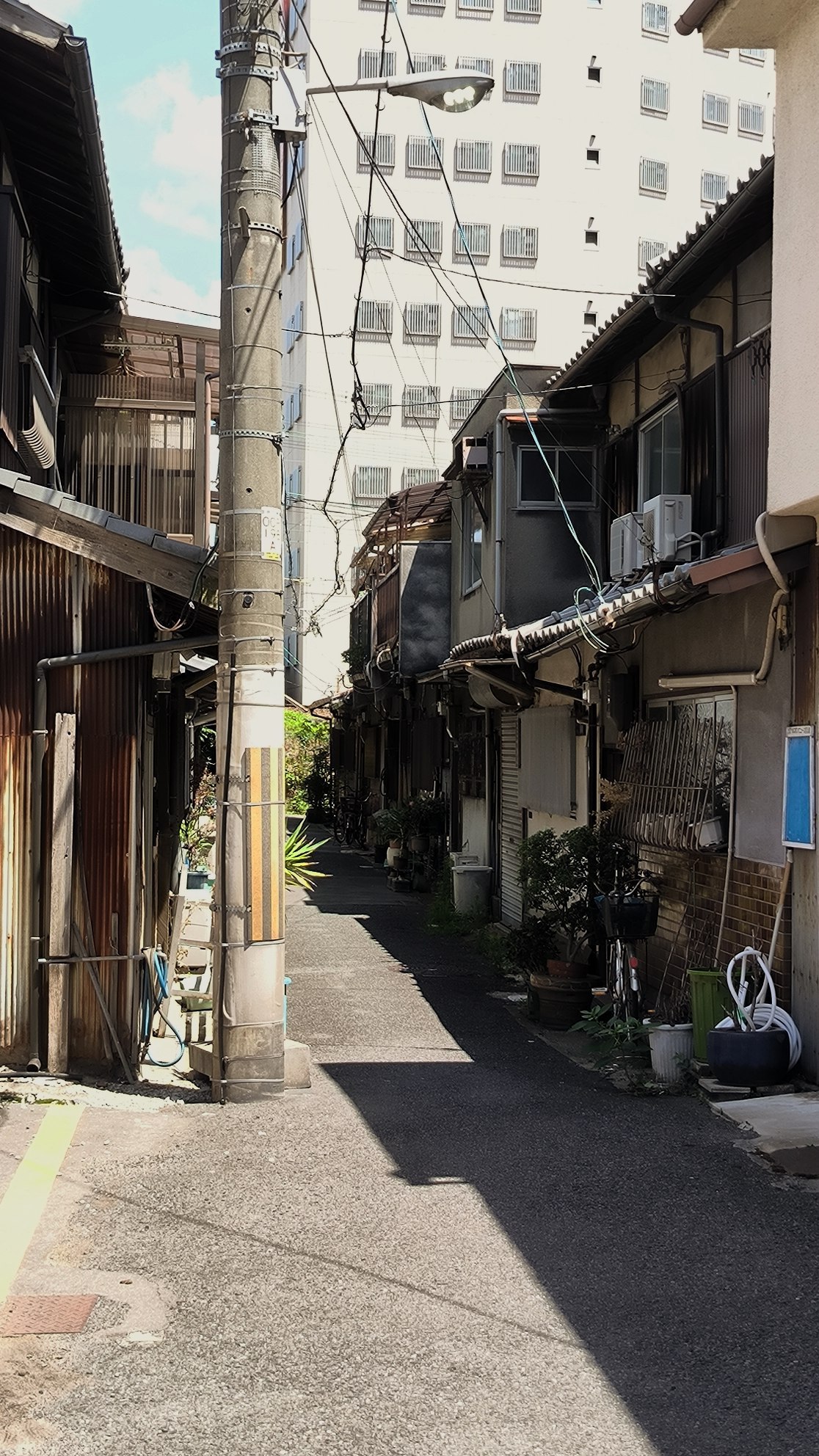 #Osaka, media 4