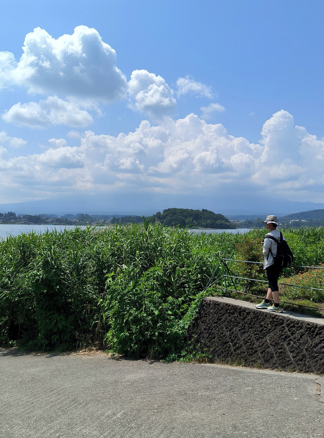 #Fuji, media 1