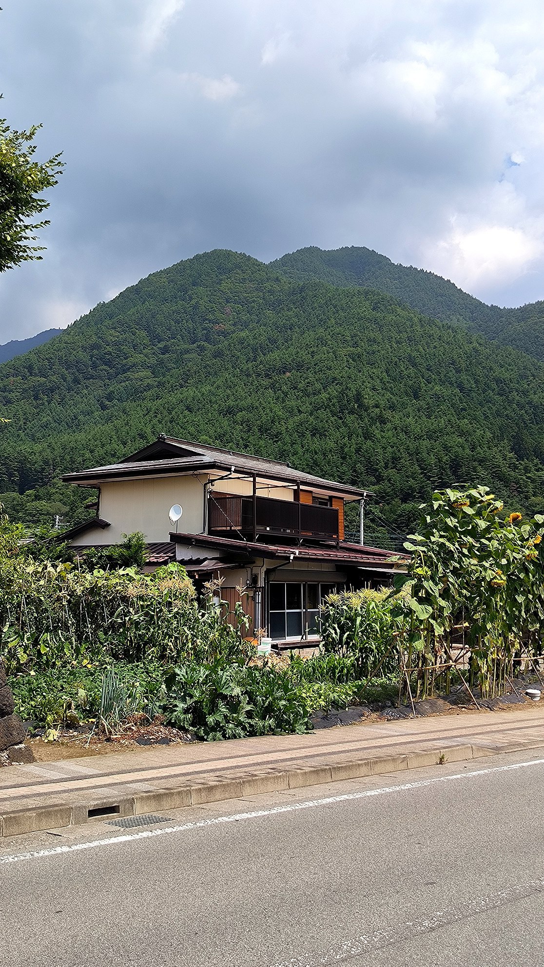 #Fuji, media 5