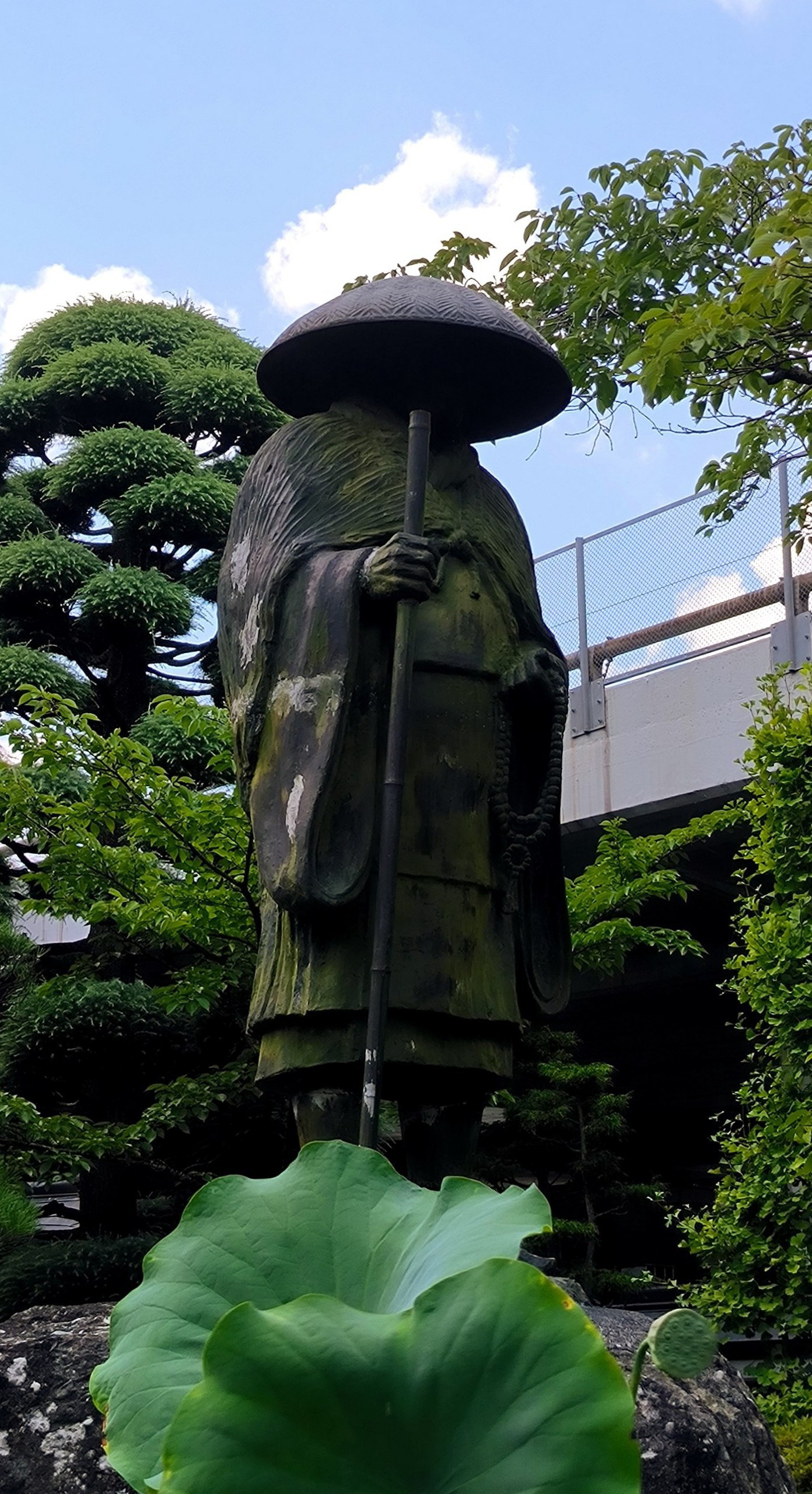 #Fuji, media 3
