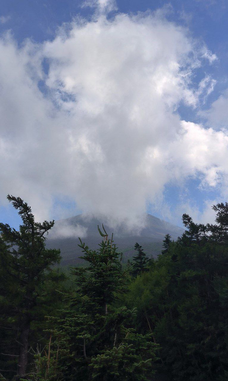 I didn't climb Mount Fuji on this trip., media 5