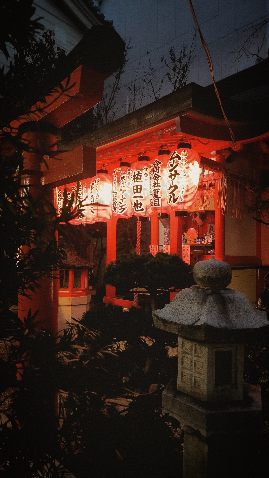 #Kyoto, media 7