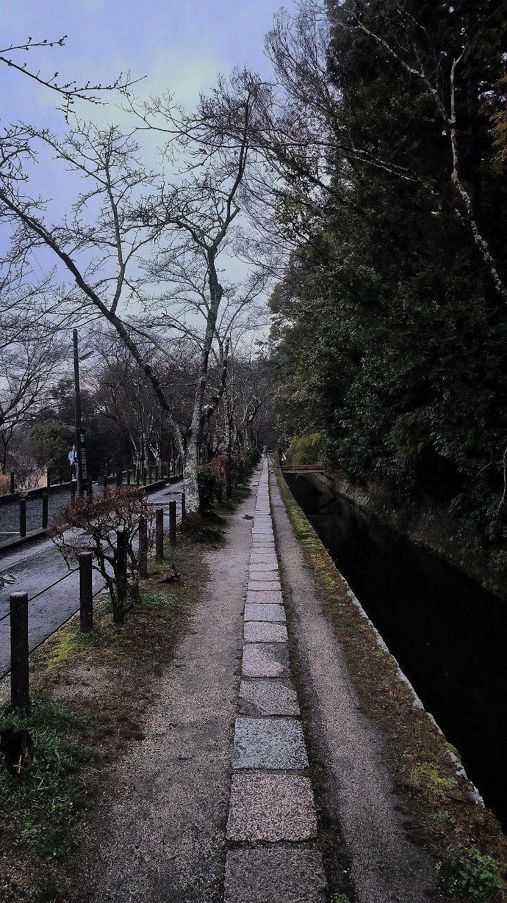 The Philosopher's Path is one of the best places in #Kyoto, where the city and nature…, media 1