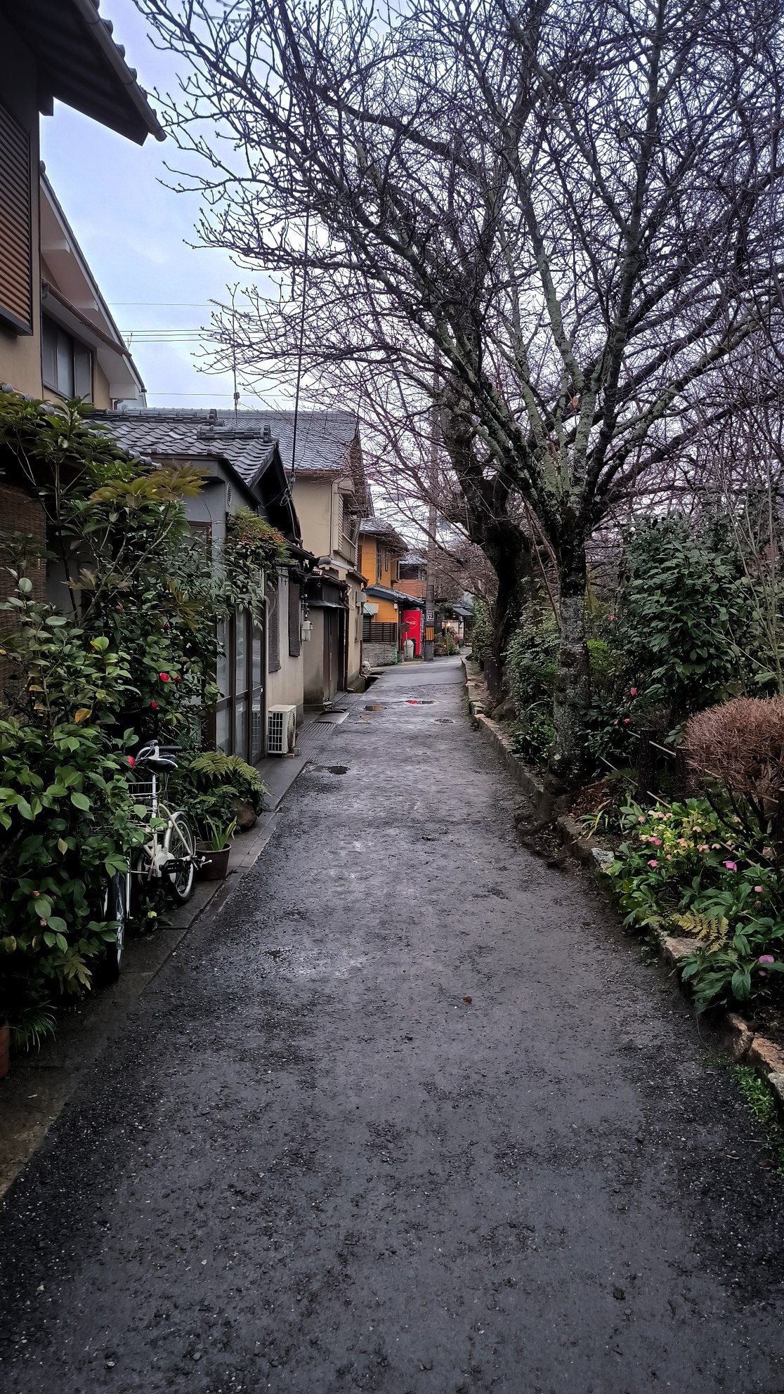 The Philosopher's Path is one of the best places in #Kyoto, where the city and nature…, media 5