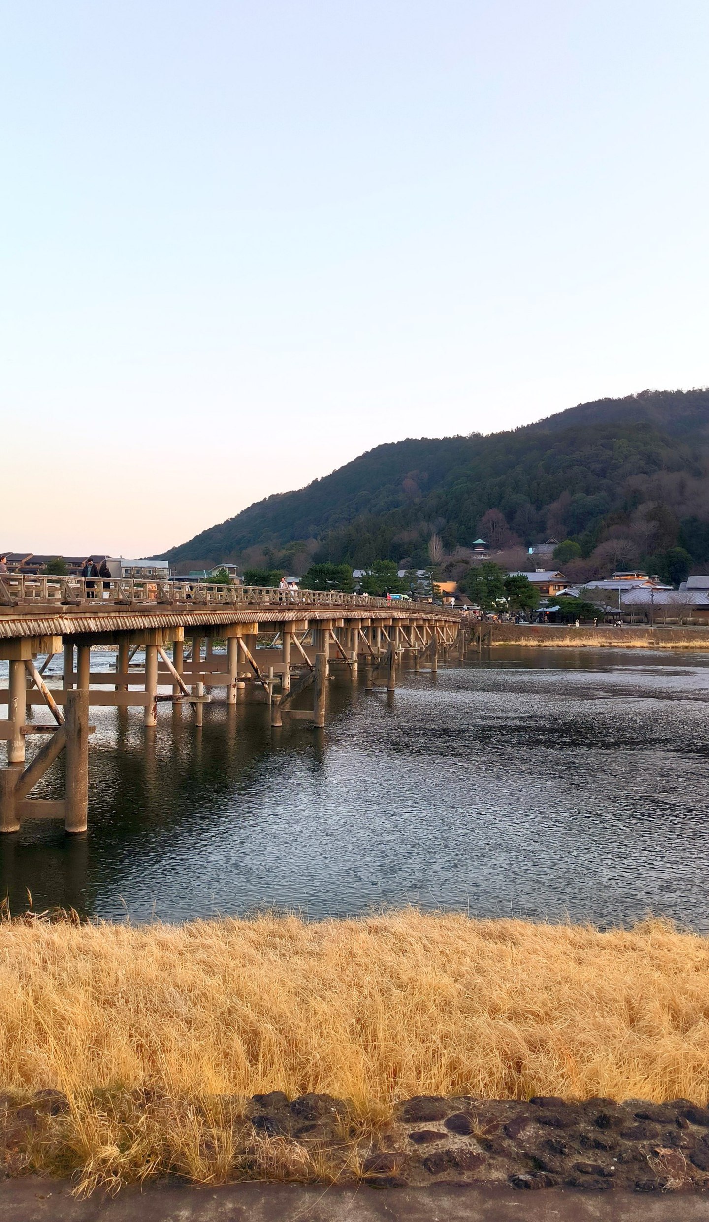 #Kyoto is built on the wide Kamogawa River., media 5
