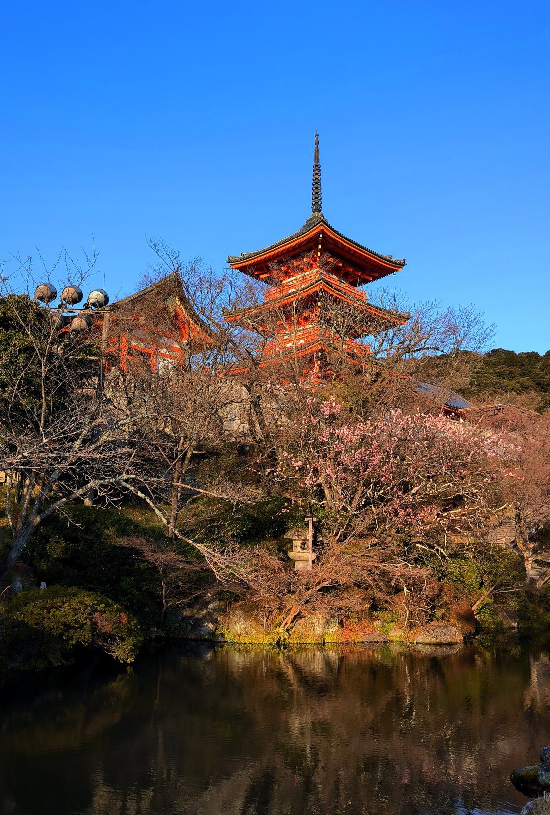 The Kiomidzu-dera Temple on a golden evening in #Kyoto., media 1