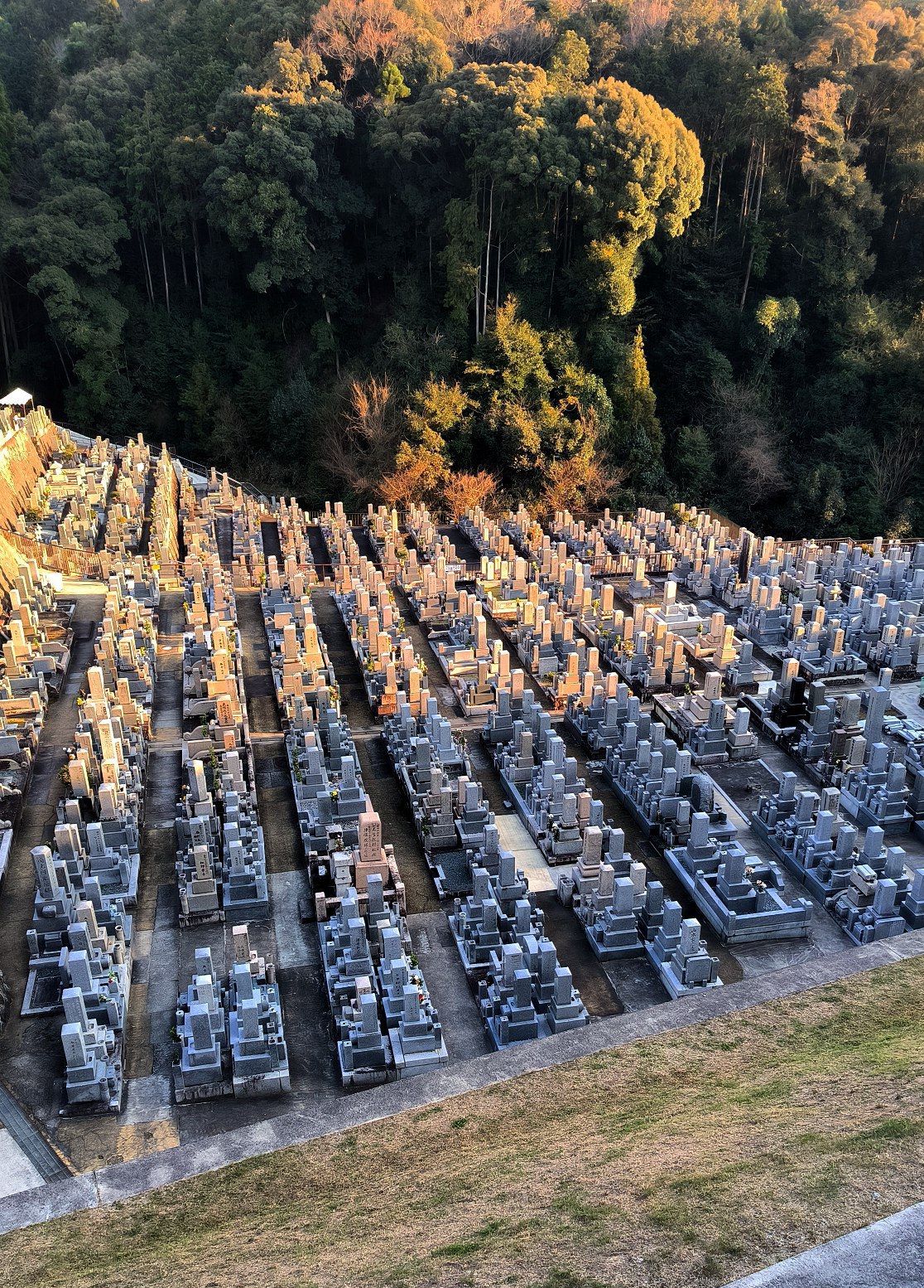 The Kiomidzu-dera Temple on a golden evening in #Kyoto., media 3